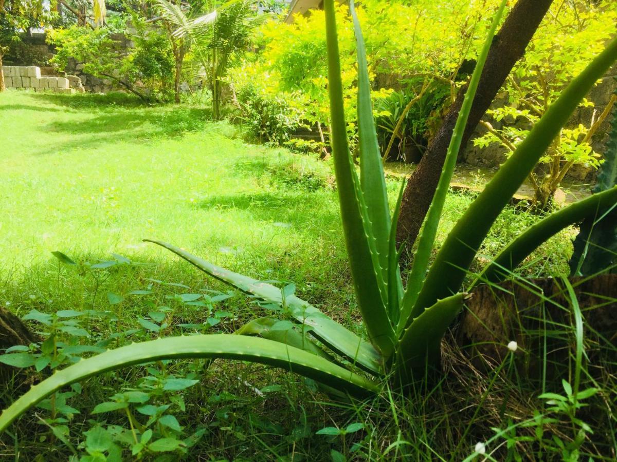 Ganesh House Ayurveda Homestay Kovalam Luaran gambar