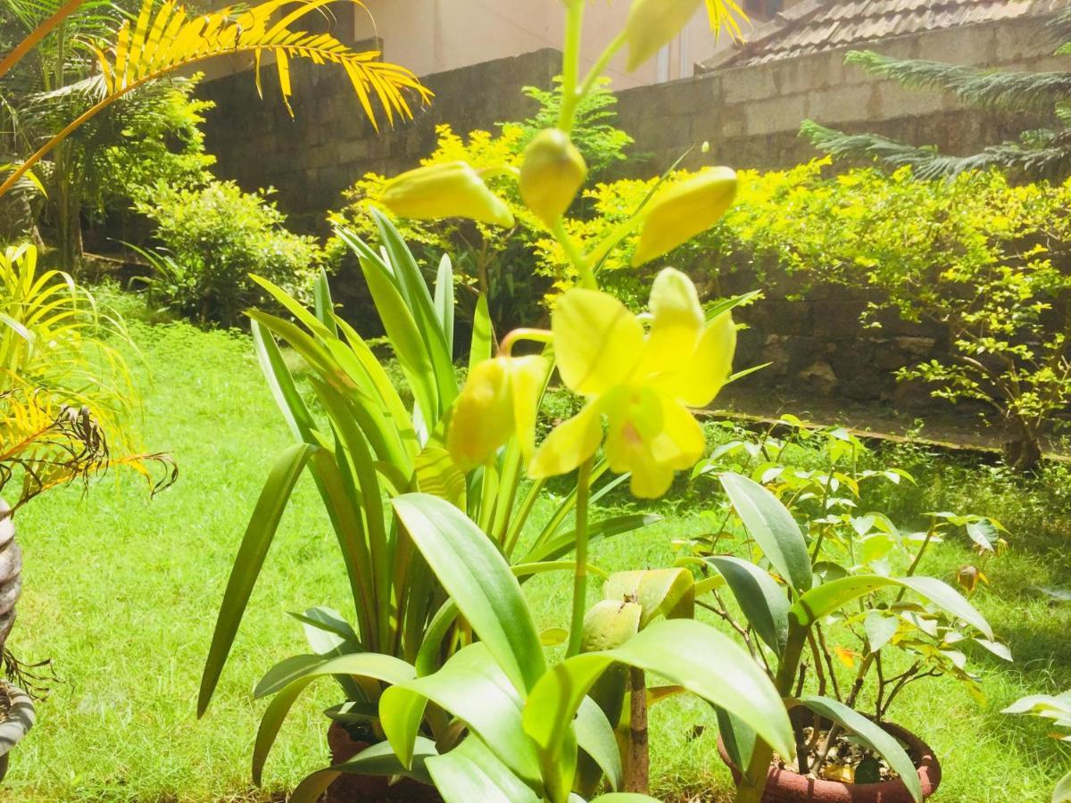 Ganesh House Ayurveda Homestay Kovalam Luaran gambar